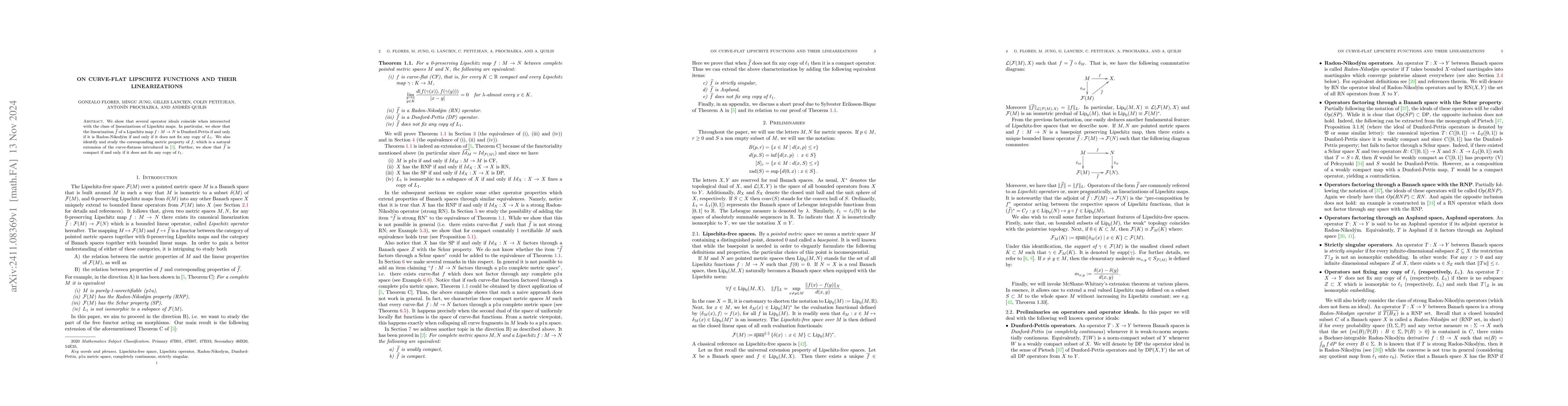 Thumbnail for On curve-flat Lipschitz functions and their linearizations