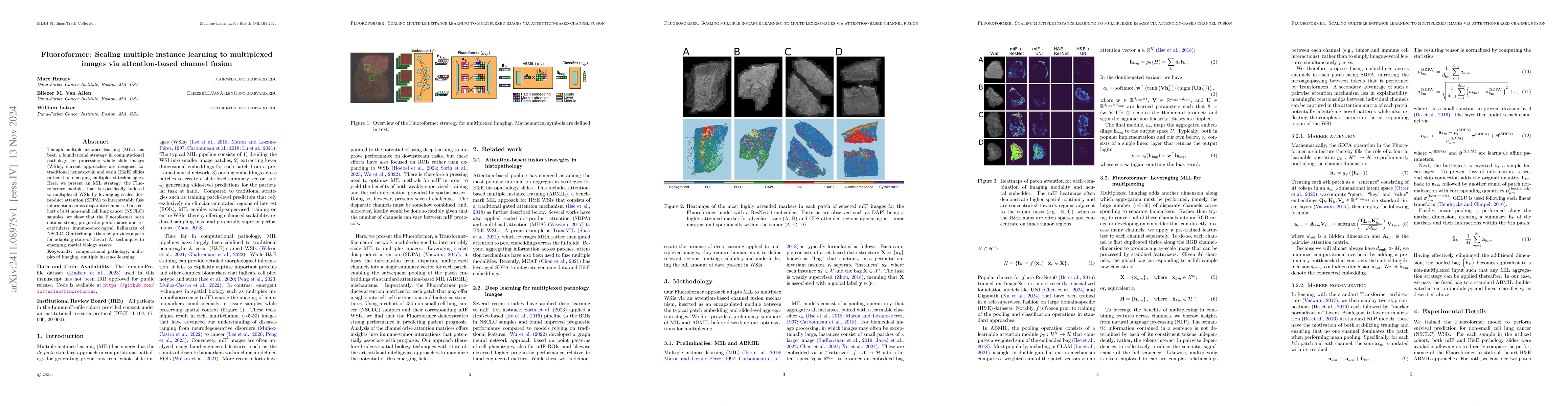 Thumbnail for Fluoroformer: Scaling multiple instance learning to multiplexed images
  via attention-based channel fusion