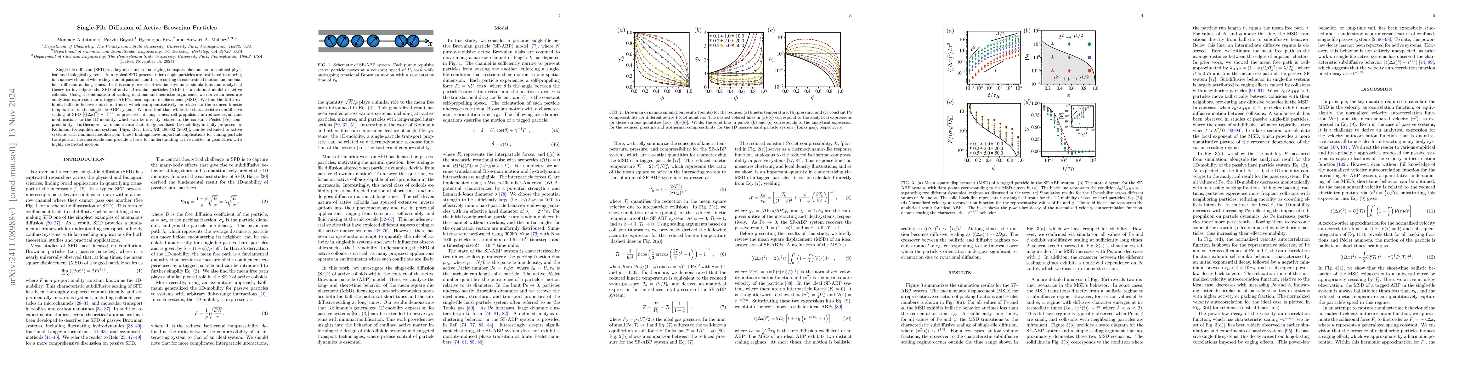 Thumbnail for Single-File Diffusion of Active Brownian Particles