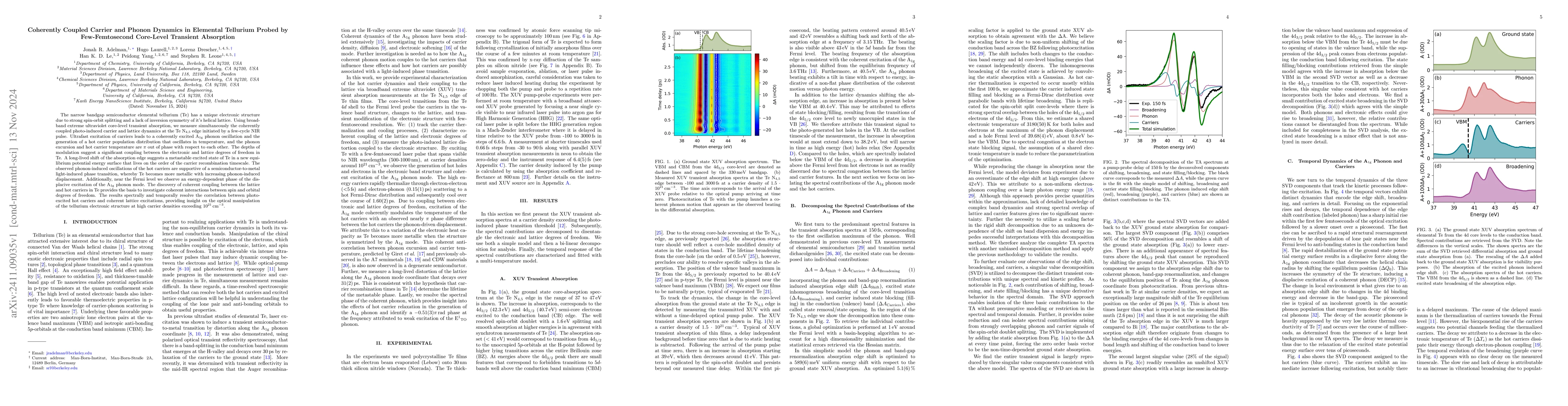 Thumbnail for Coherently Coupled Carrier and Phonon Dynamics in Elemental Tellurium
  Probed by Few-Femtosecond Core-Level Transient Absorption