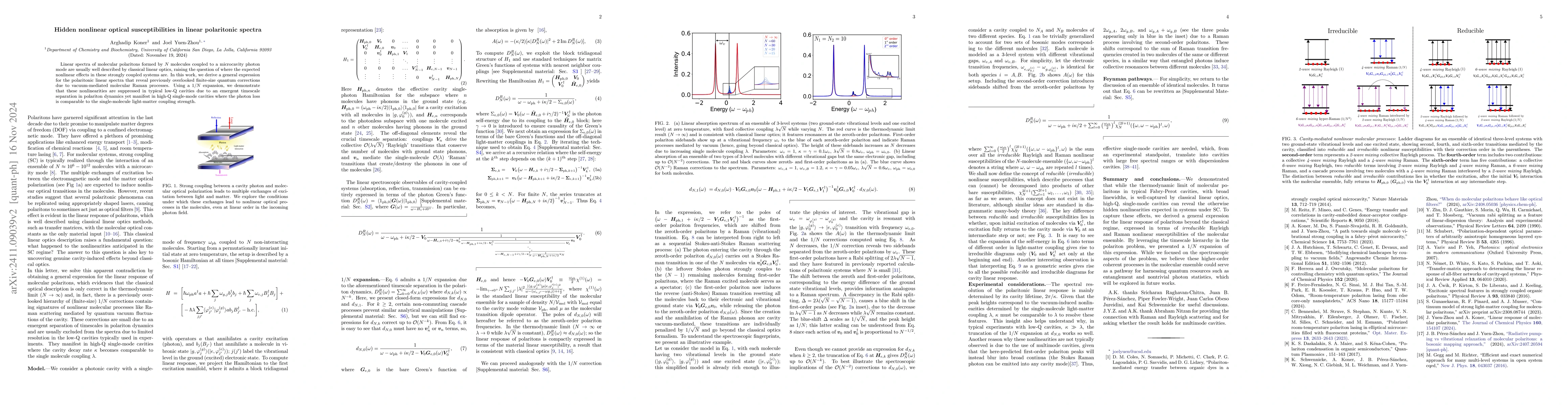 Thumbnail for Hidden nonlinear optical susceptibilities in linear polaritonic spectra