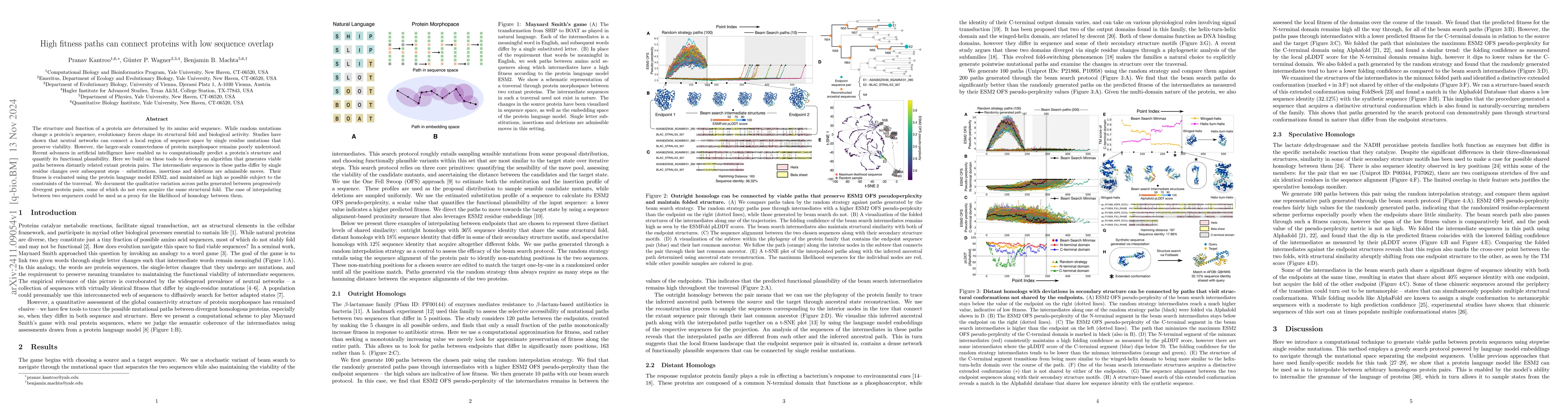 Thumbnail for High fitness paths can connect proteins with low sequence overlap