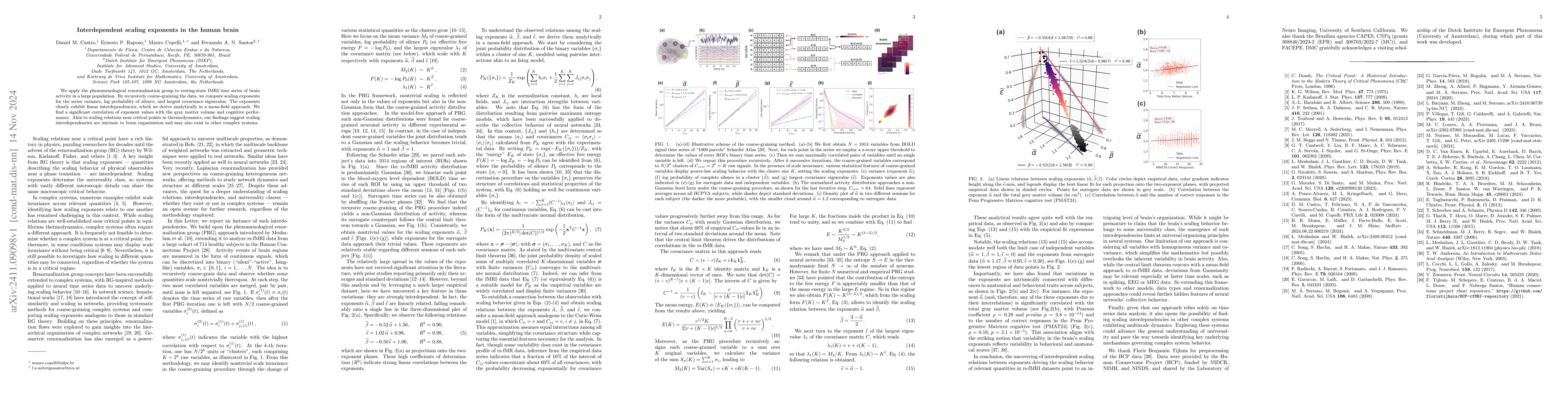 Thumbnail for Interdependent scaling exponents in the human brain