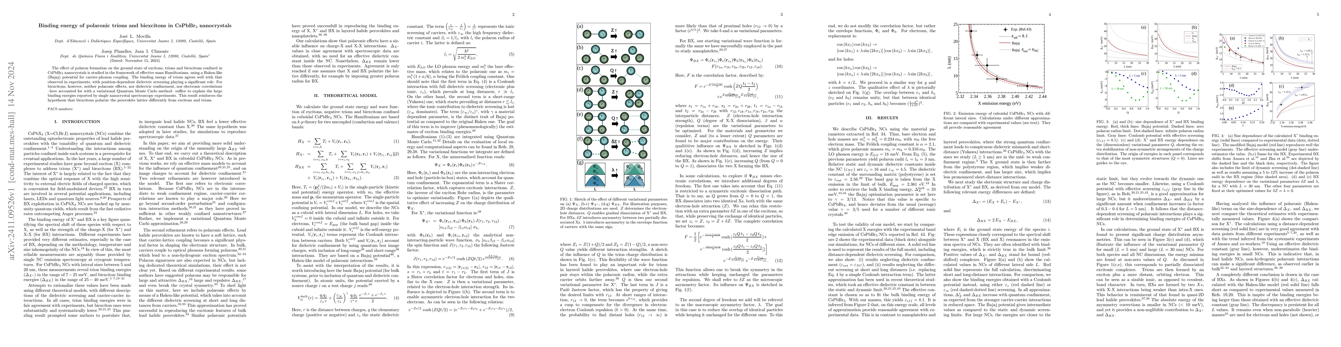 Thumbnail for Binding energy of polaronic trions and biexcitons in CsPbBr$_3$
  nanocrystals