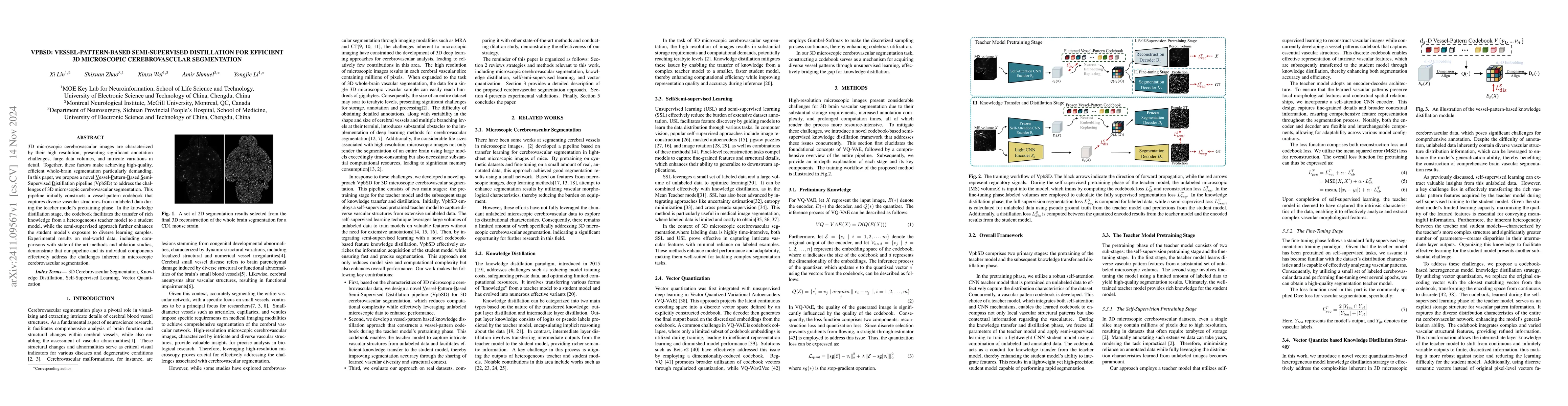 Thumbnail for VPBSD:Vessel-Pattern-Based Semi-Supervised Distillation for Efficient 3D
  Microscopic Cerebrovascular Segmentation