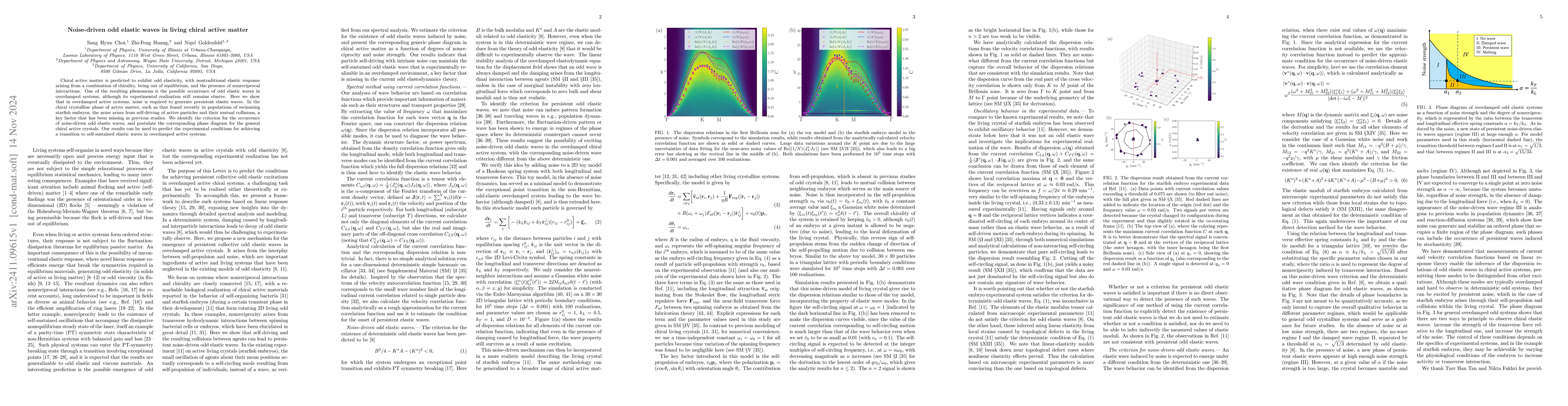 Thumbnail for Noise-driven odd elastic waves in living chiral active matter