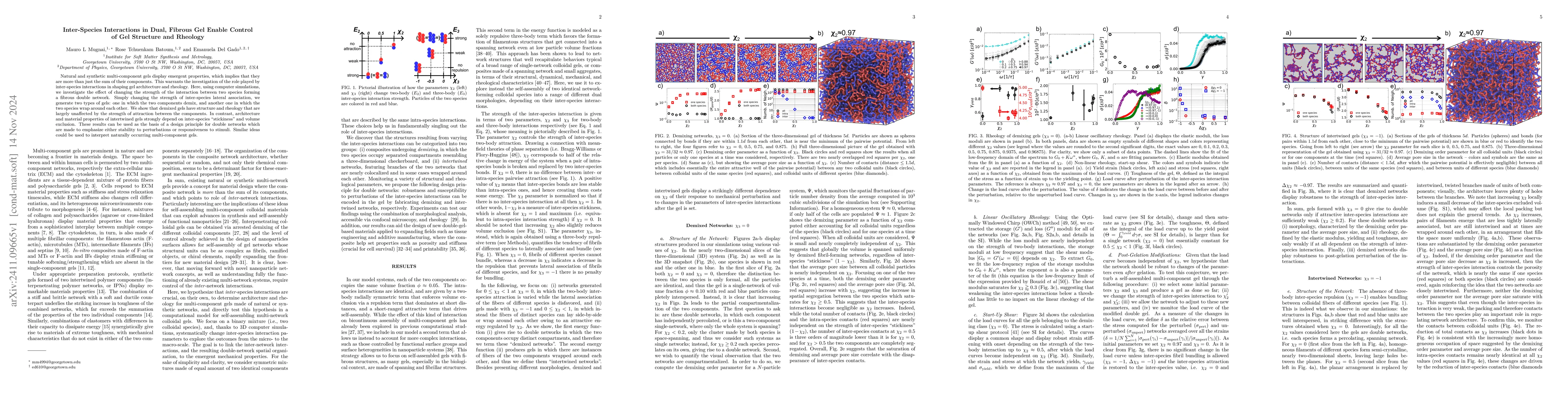 Thumbnail for Inter-Species Interactions in Dual, Fibrous Gel Enable Control of Gel
  Structure and Rheology