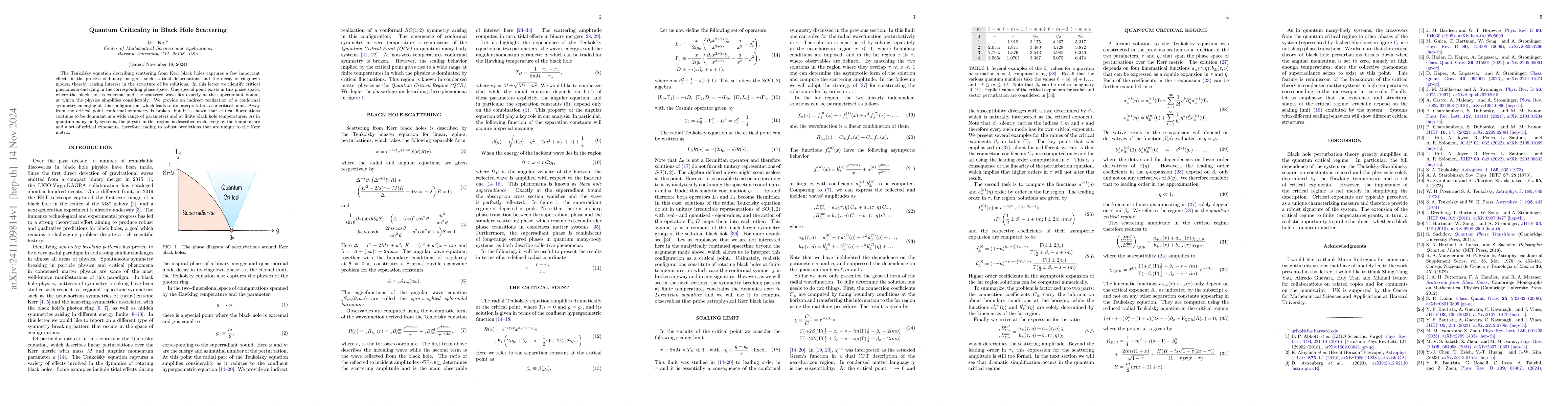 Thumbnail for Quantum Criticality in Black Hole Scattering