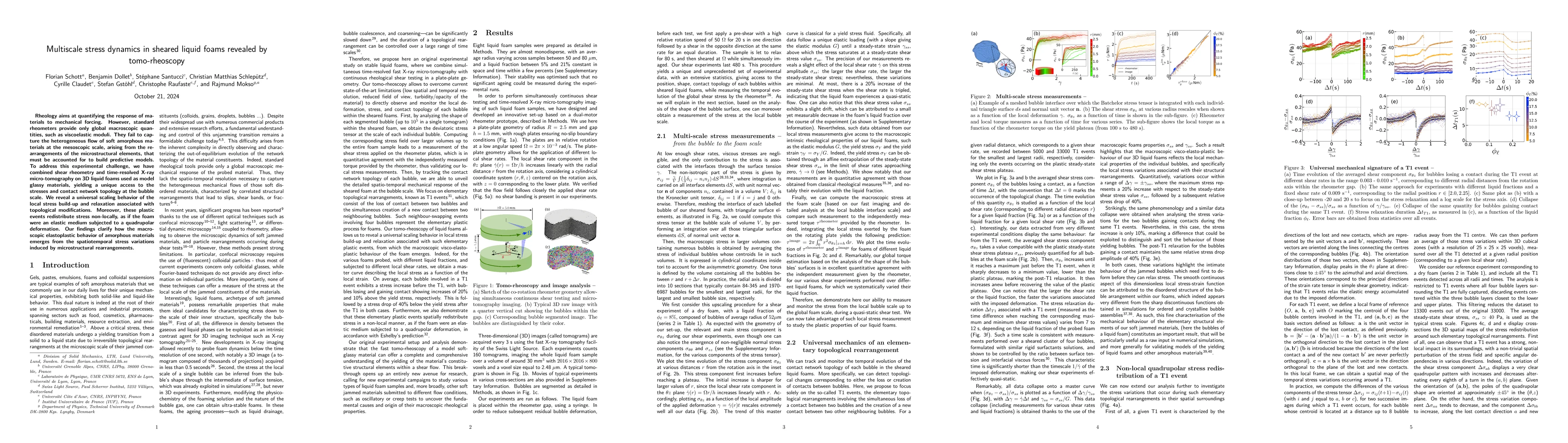 Thumbnail for Multiscale stress dynamics in sheared liquid foams revealed by
  tomo-rheoscopy