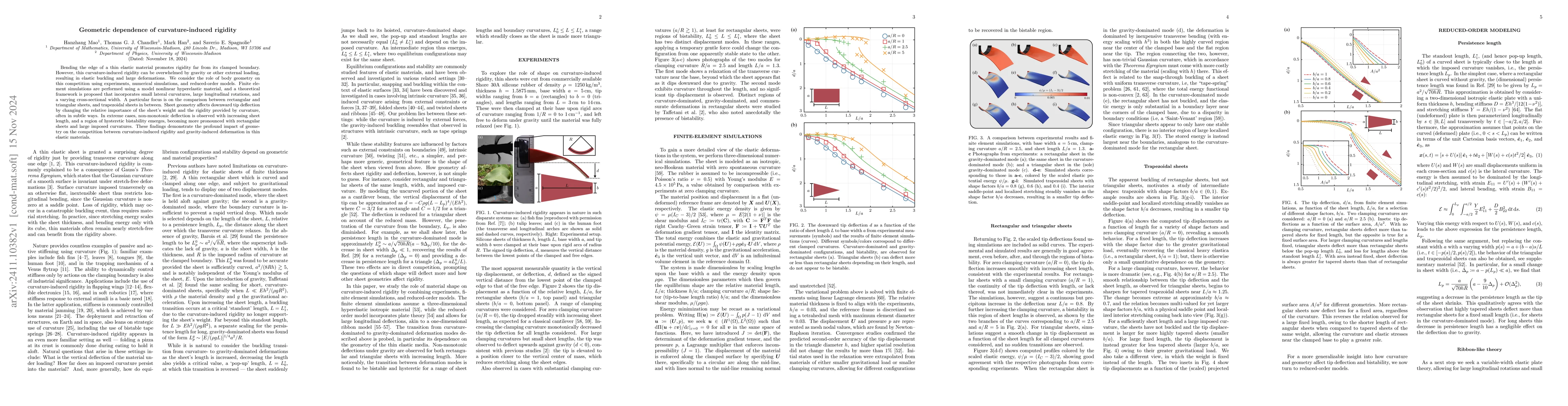 Thumbnail for Geometric dependence of curvature-induced rigidity