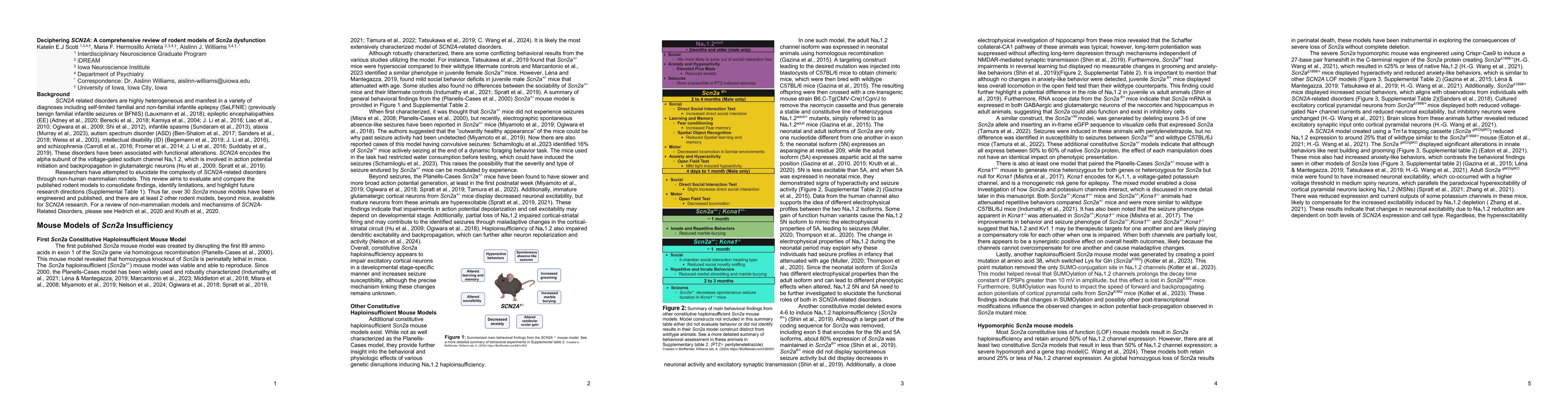 Thumbnail for Deciphering SCN2A: A comprehensive review of rodent models of Scn2a
  dysfunction