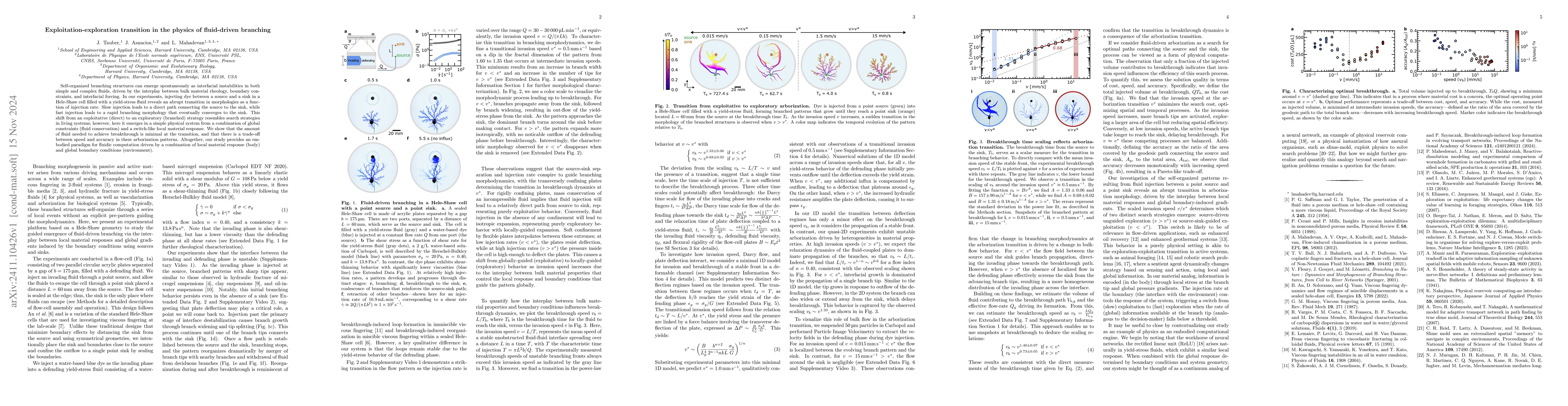 Thumbnail for Exploitation-exploration transition in the physics of fluid-driven
  branching