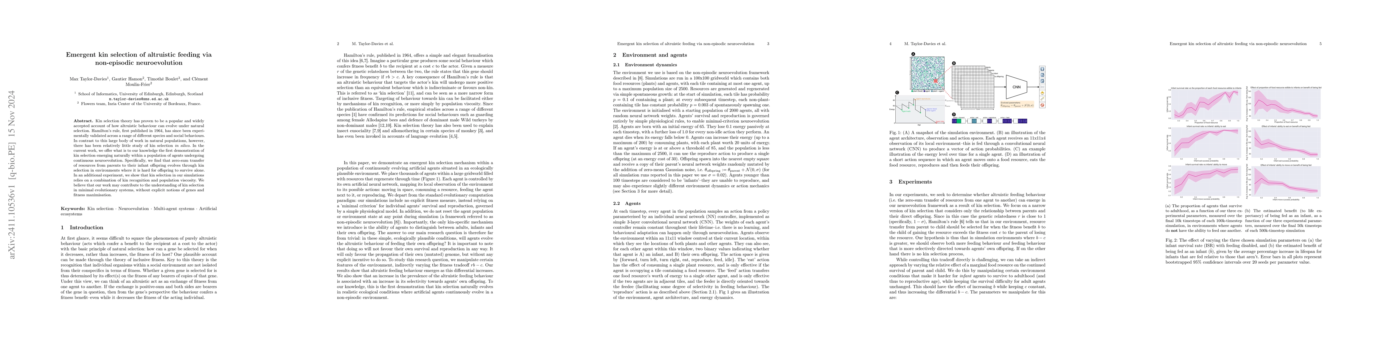 Thumbnail for Emergent kin selection of altruistic feeding via non-episodic
  neuroevolution