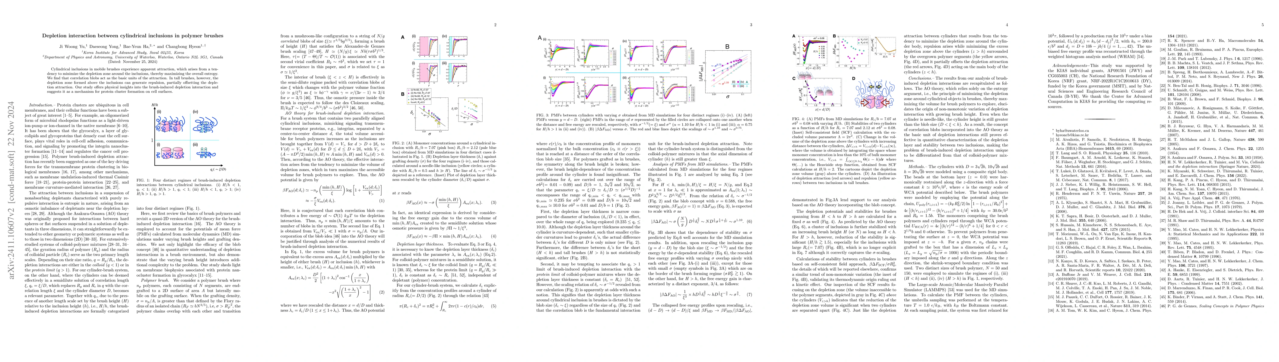 Thumbnail for Depletion interaction between cylindrical inclusions in polymer brushes
