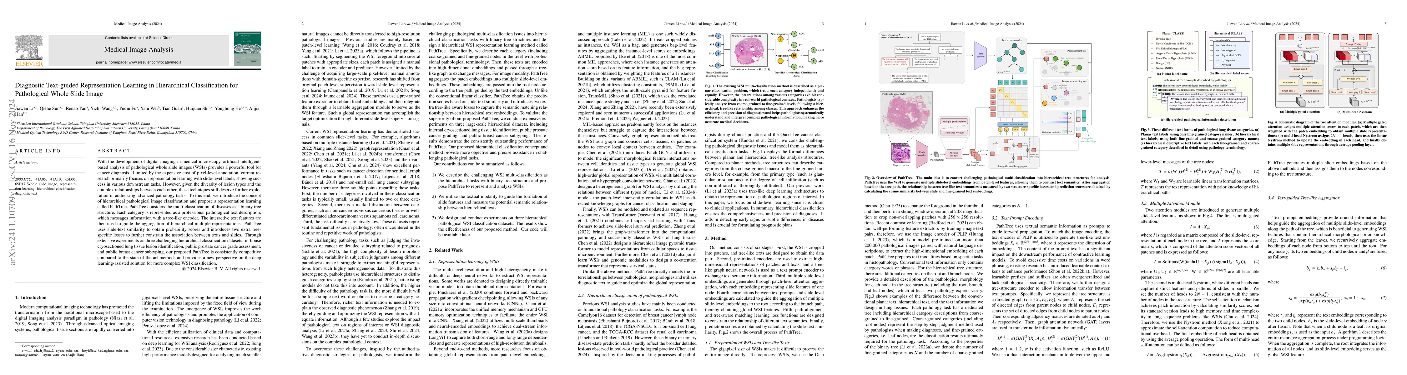 Thumbnail for Diagnostic Text-guided Representation Learning in Hierarchical
  Classification for Pathological Whole Slide Image