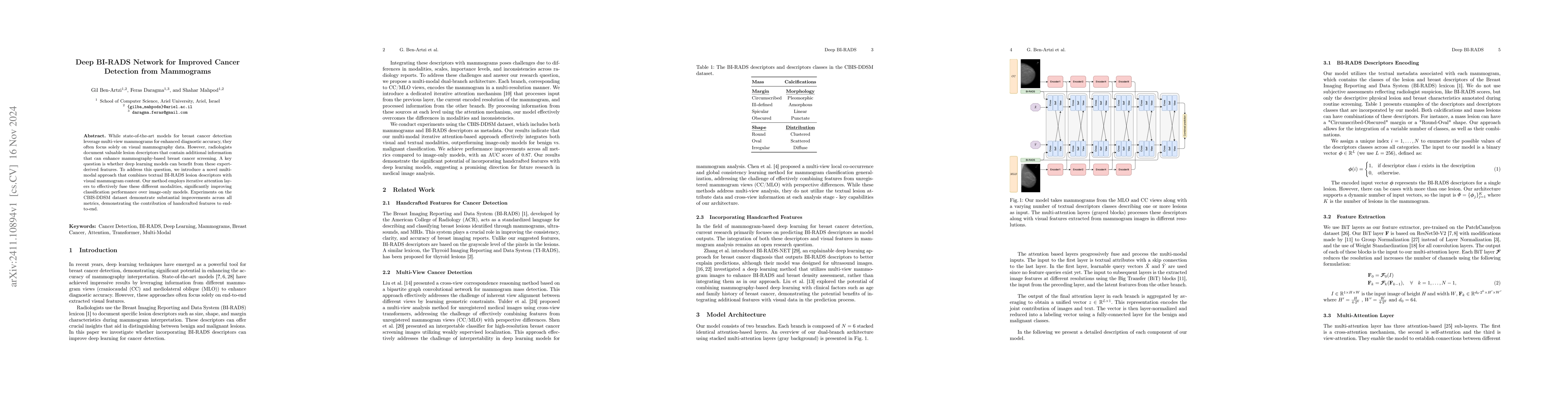 Thumbnail for Deep BI-RADS Network for Improved Cancer Detection from Mammograms