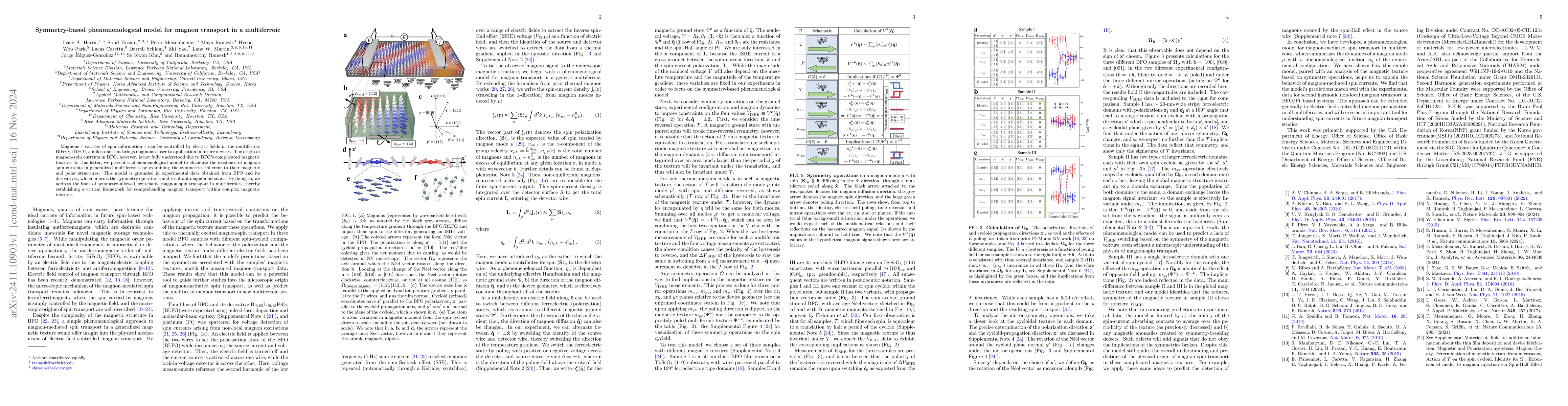 Thumbnail for Symmetry-based phenomenological model for magnon transport in a
  multiferroic