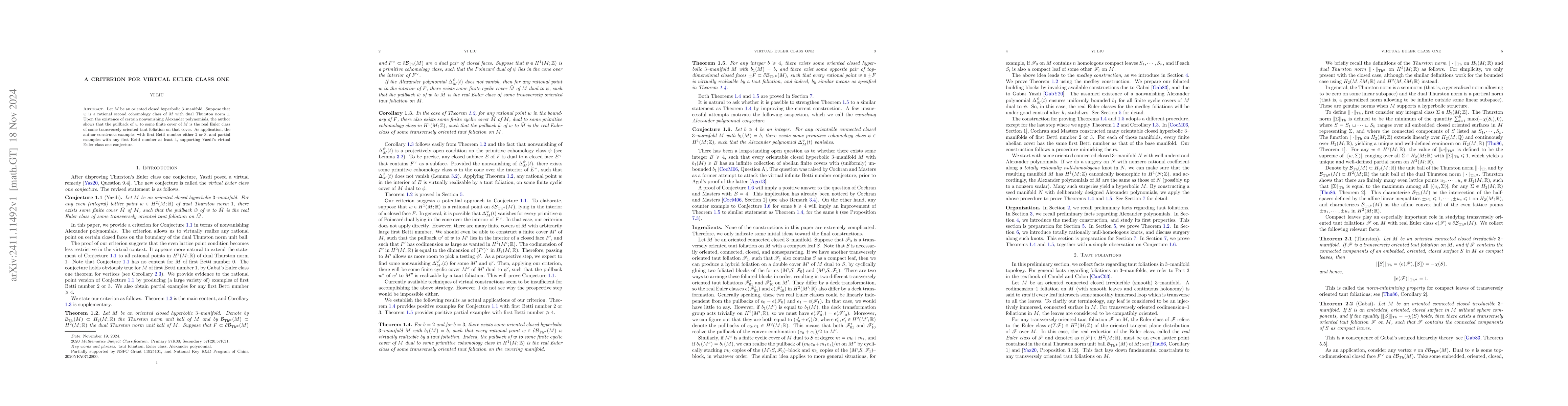 Thumbnail for A criterion for virtual Euler class one