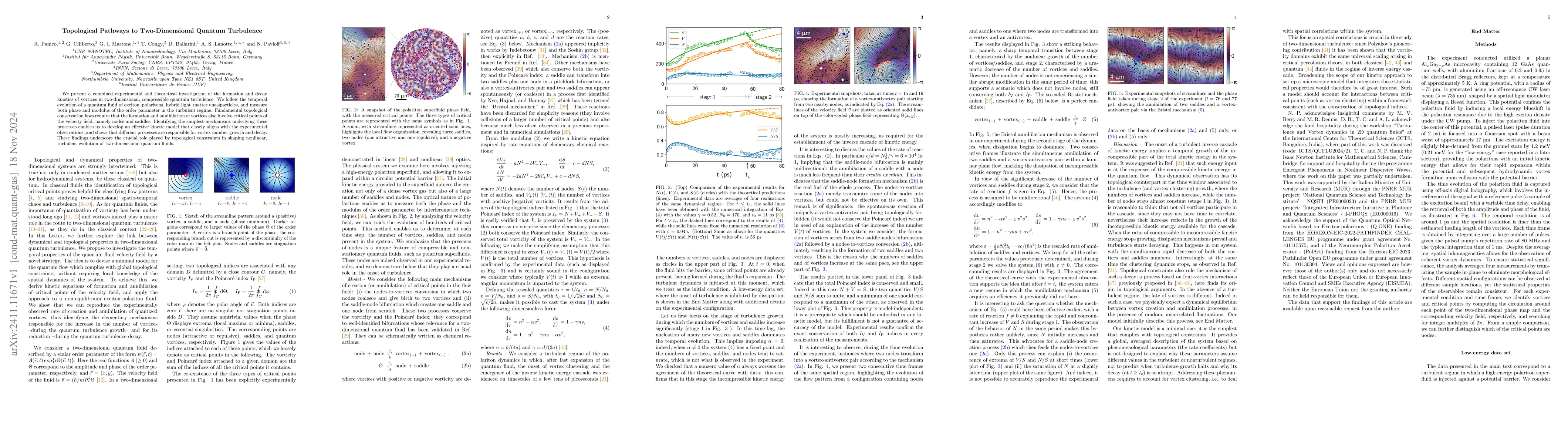 Thumbnail for Topological Pathways to Two-Dimensional Quantum Turbulence