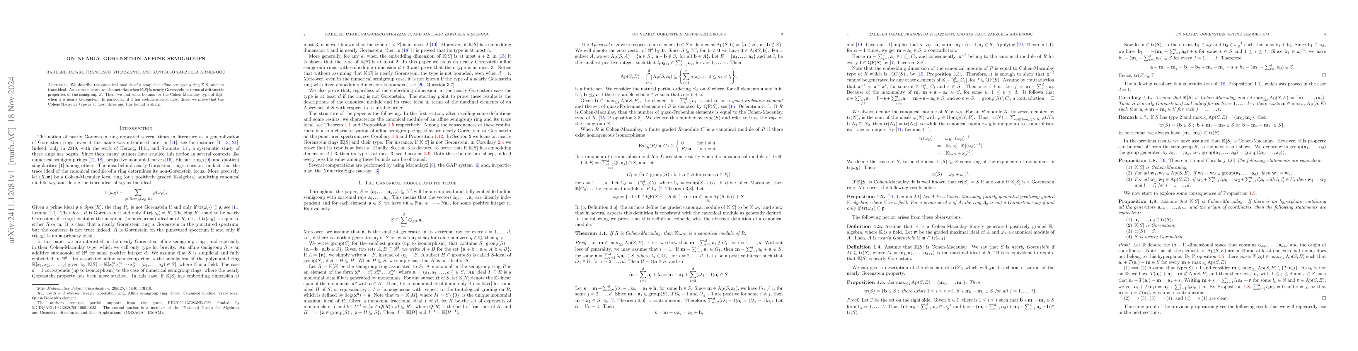 Thumbnail for On nearly Gorenstein affine semigroups