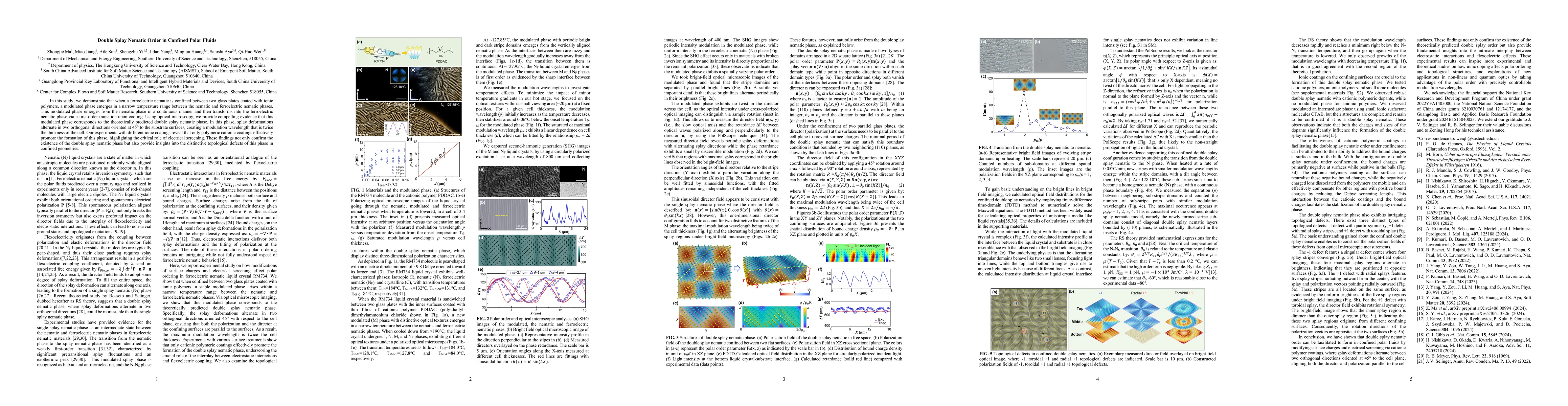 Thumbnail for Double Splay Nematic Order in Confined Polar Fluids