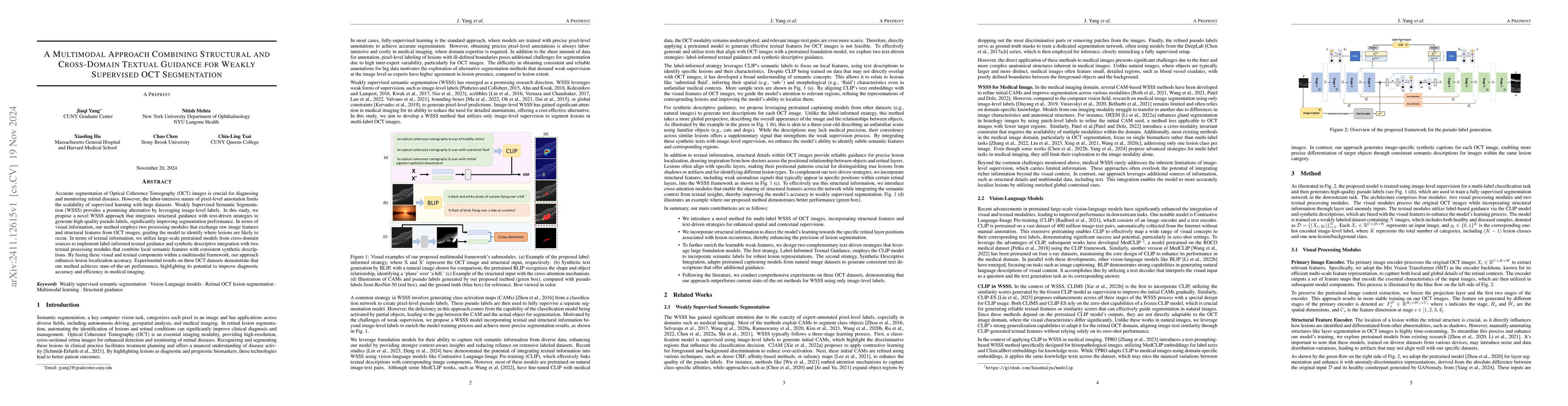 Thumbnail for A Multimodal Approach Combining Structural and Cross-domain Textual
  Guidance for Weakly Supervised OCT Segmentation