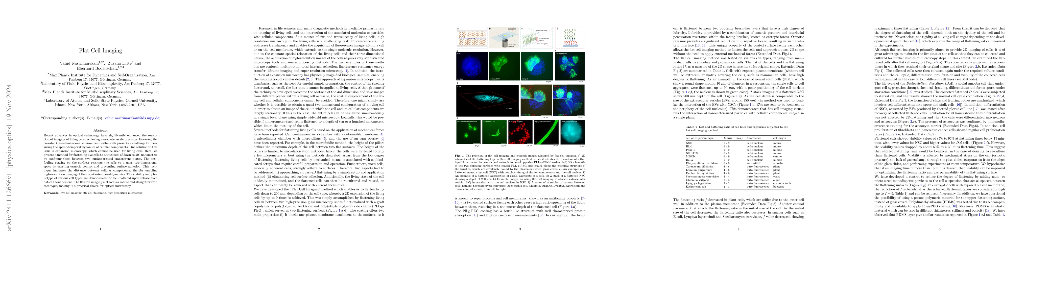 Thumbnail for Flat Cell Imaging