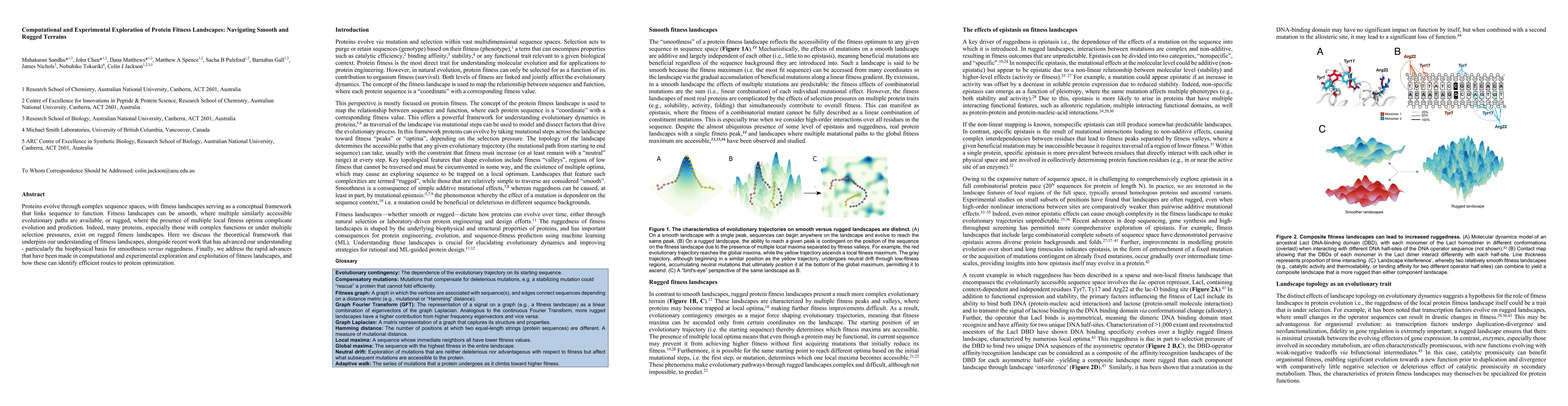 Thumbnail for Computational and Experimental Exploration of Protein Fitness
  Landscapes: Navigating Smooth and Rugged Terrains