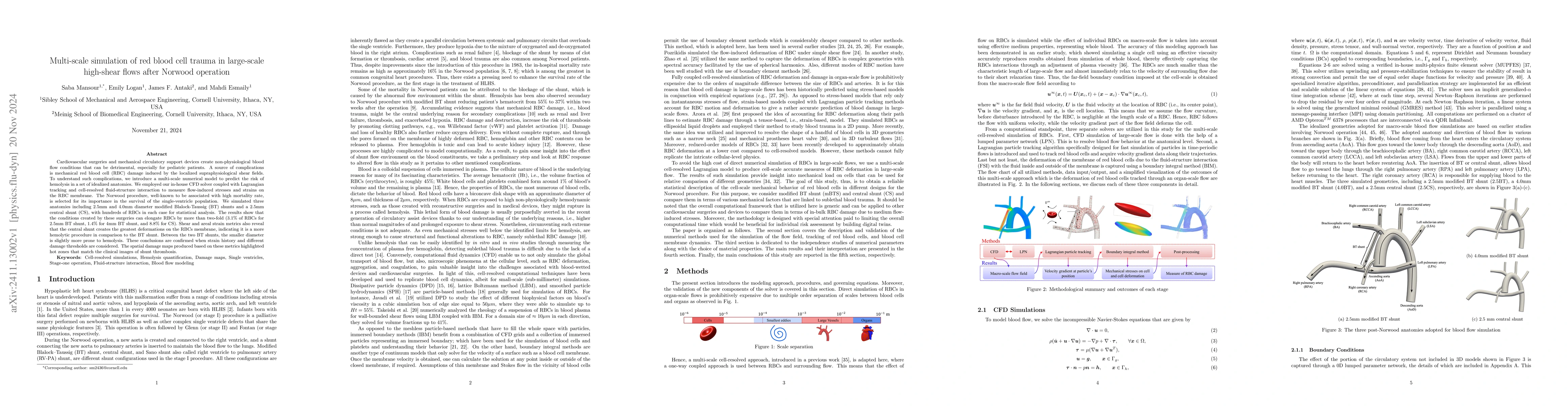 Thumbnail for Multi-scale simulation of red blood cell trauma in large-scale
  high-shear flows after Norwood operation