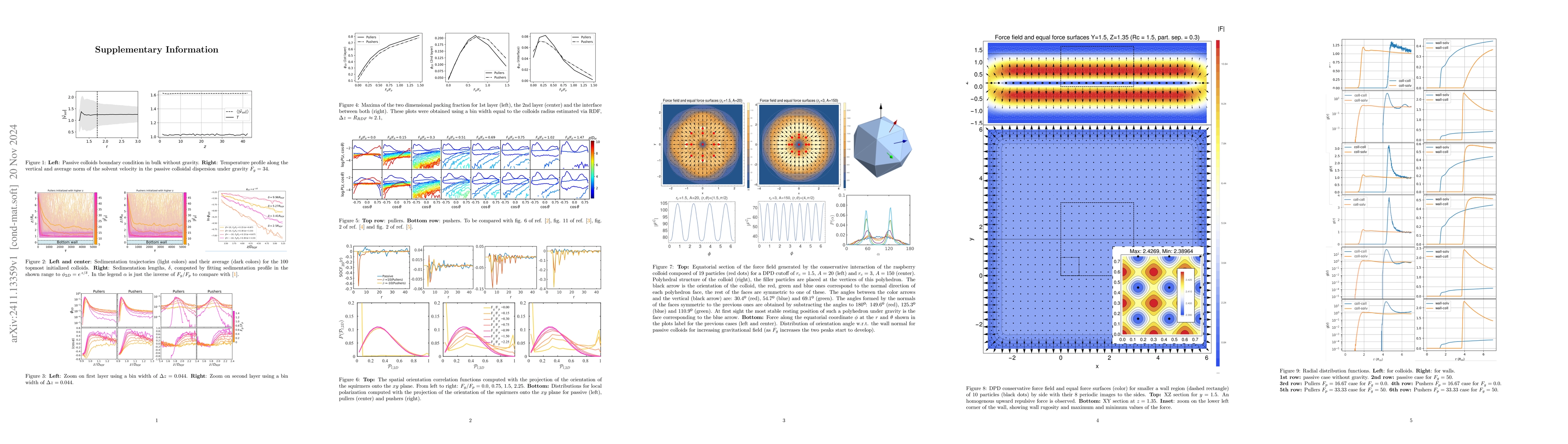 Thumbnail for Sedimentation and structure of squirmer suspensions under gravity