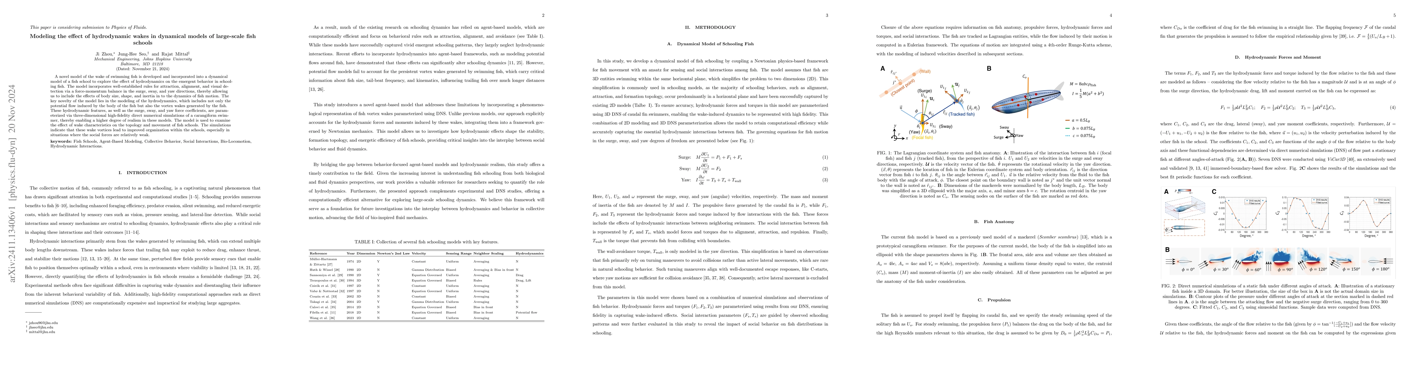 Thumbnail for Modeling the effect of hydrodynamic wakes in dynamical models of
  large-scale fish schools
