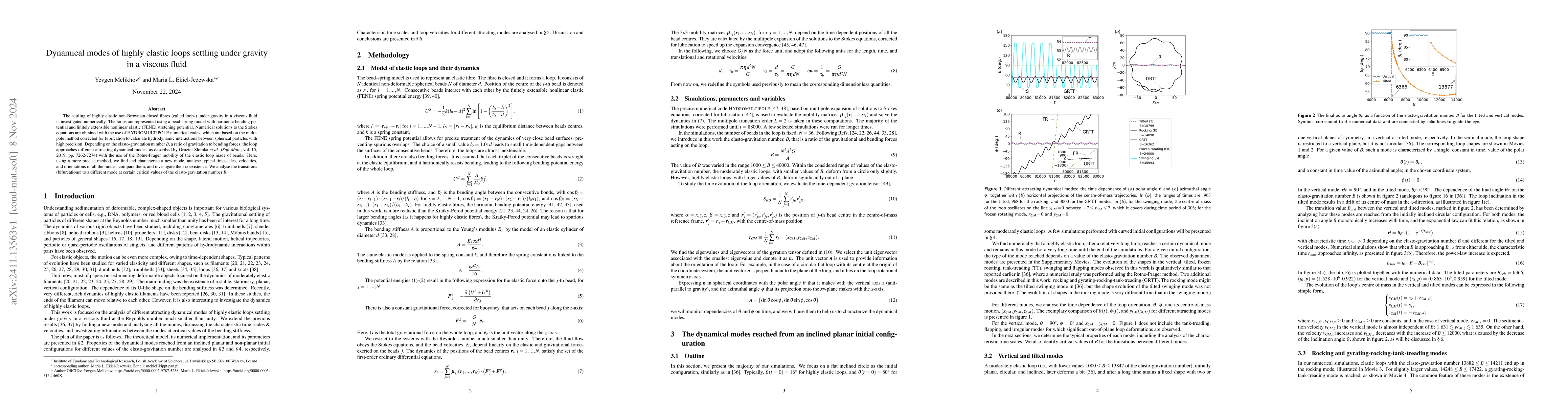 Thumbnail for Dynamical modes of highly elastic loops settling under gravity in a
  viscous fluid