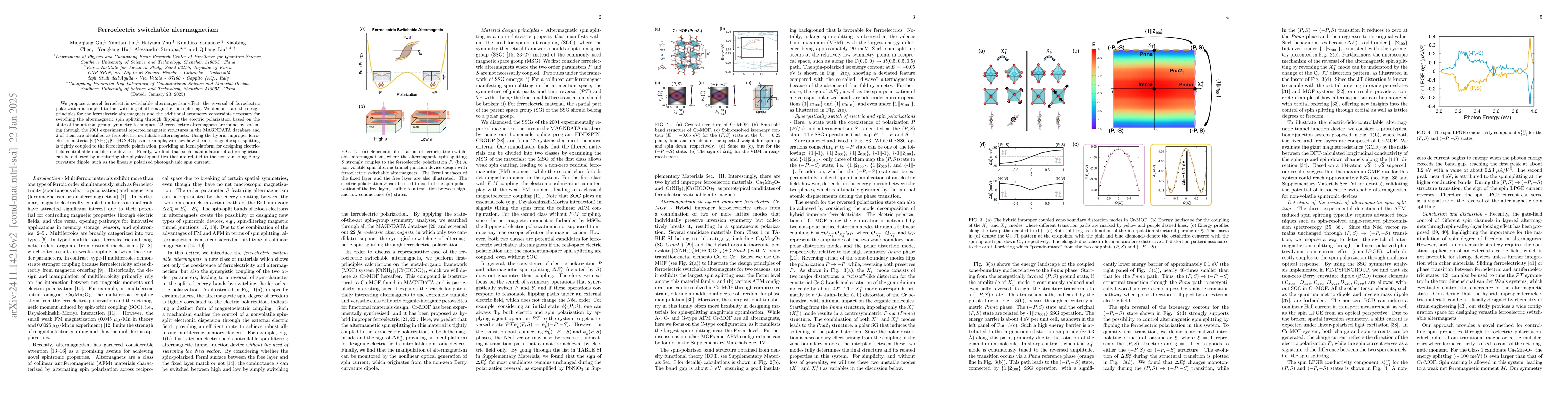 Thumbnail for Ferroelectric switchable altermagnetism