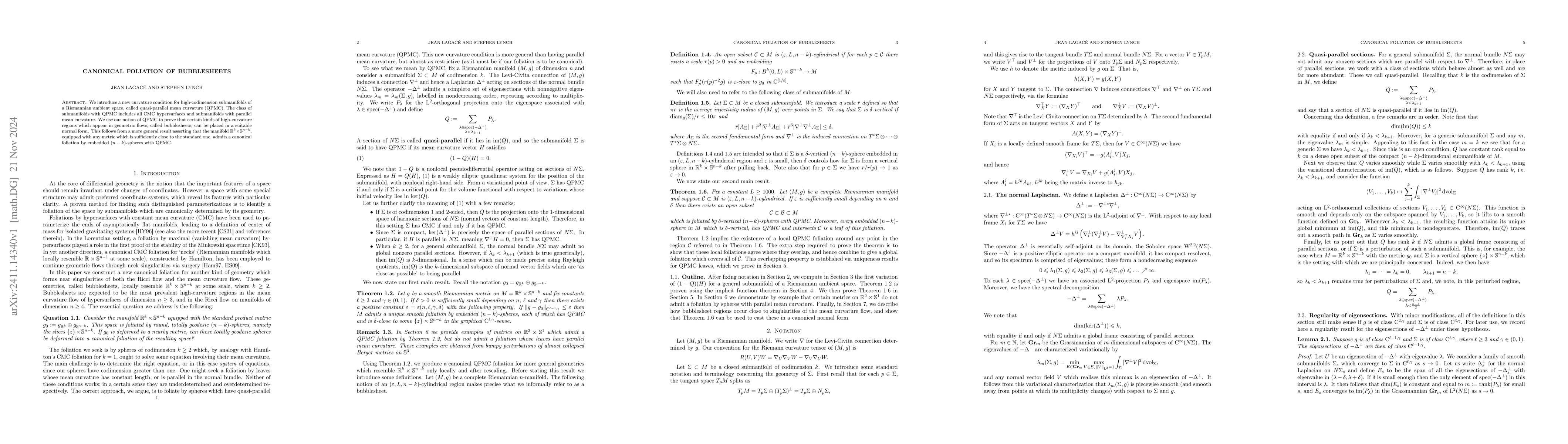 Thumbnail for Canonical foliation of bubblesheets