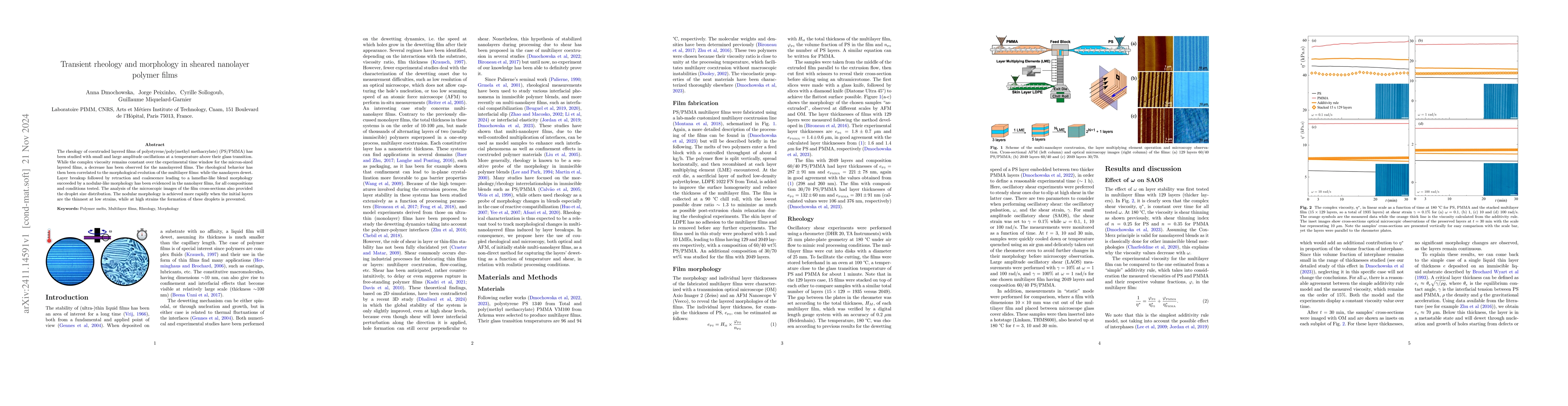 Thumbnail for Transient rheology and morphology in sheared nanolayer polymer films