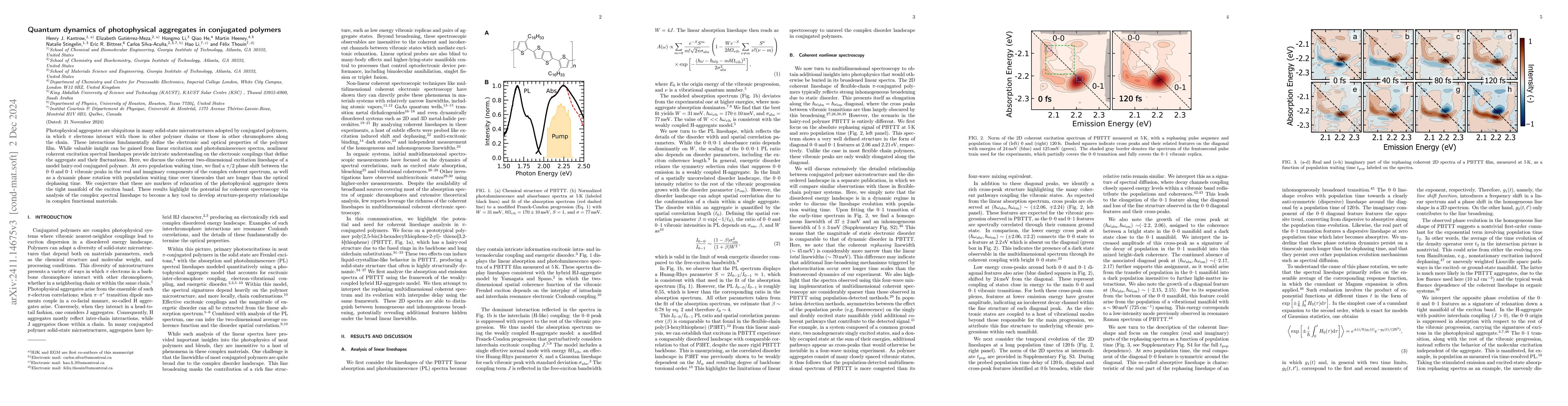 Thumbnail for Quantum dynamics of photophysical aggregates in conjugated polymers