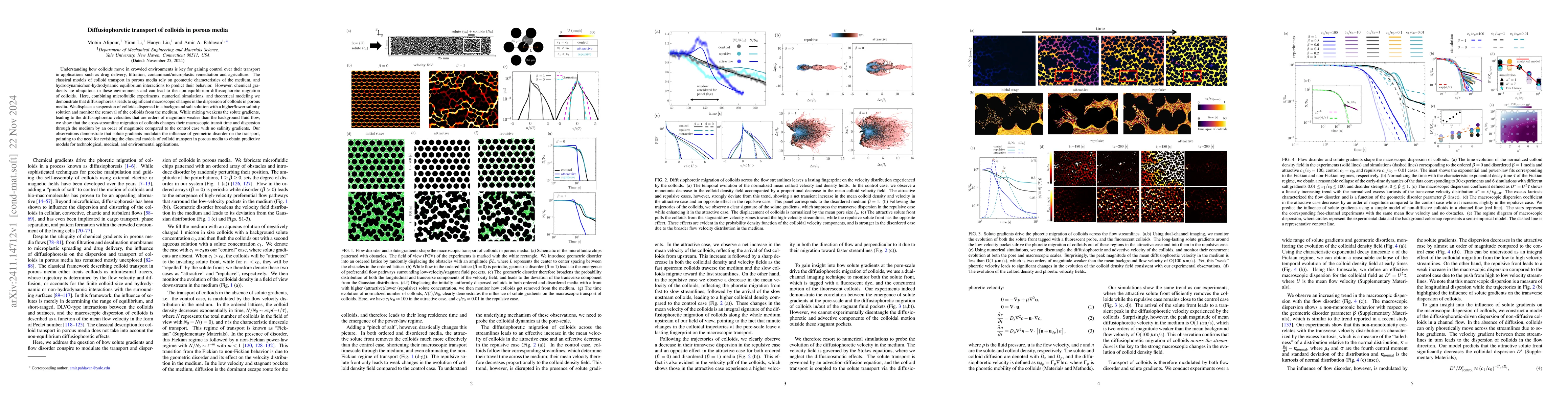 Thumbnail for Diffusiophoretic transport of colloids in porous media