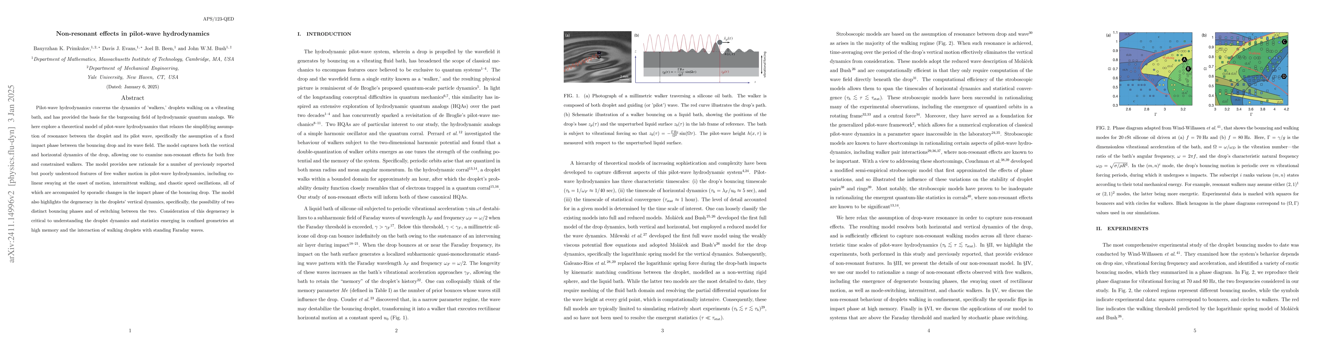 Thumbnail for Non-resonant effects in pilot-wave hydrodynamics