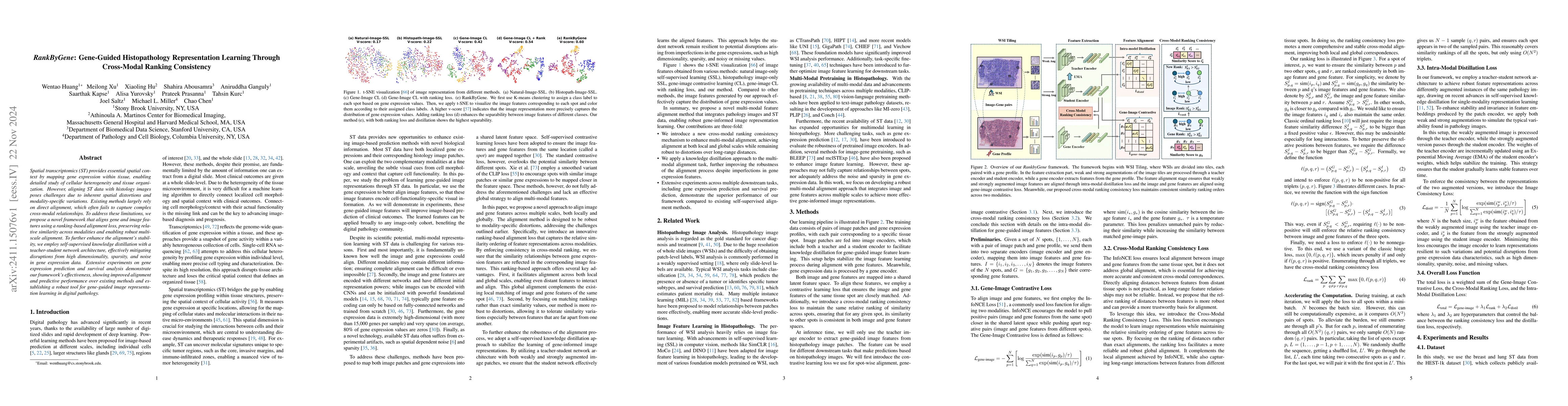Thumbnail for RankByGene: Gene-Guided Histopathology Representation Learning Through
  Cross-Modal Ranking Consistency