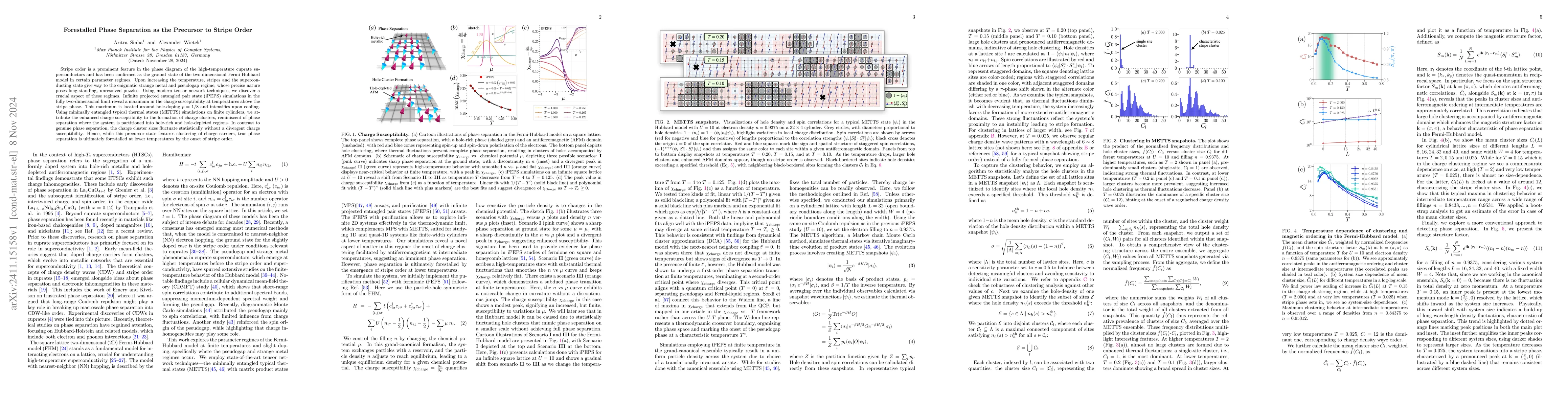 Thumbnail for Forestalled Phase Separation as the Precursor to Stripe Order