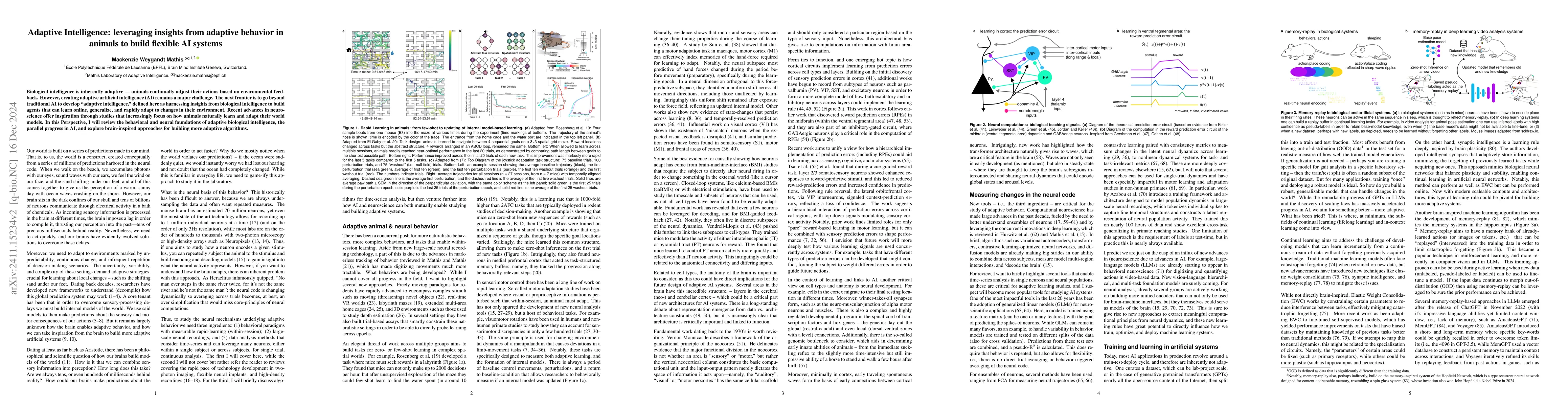 Thumbnail for Adaptive Intelligence: leveraging insights from adaptive behavior in
  animals to build flexible AI systems