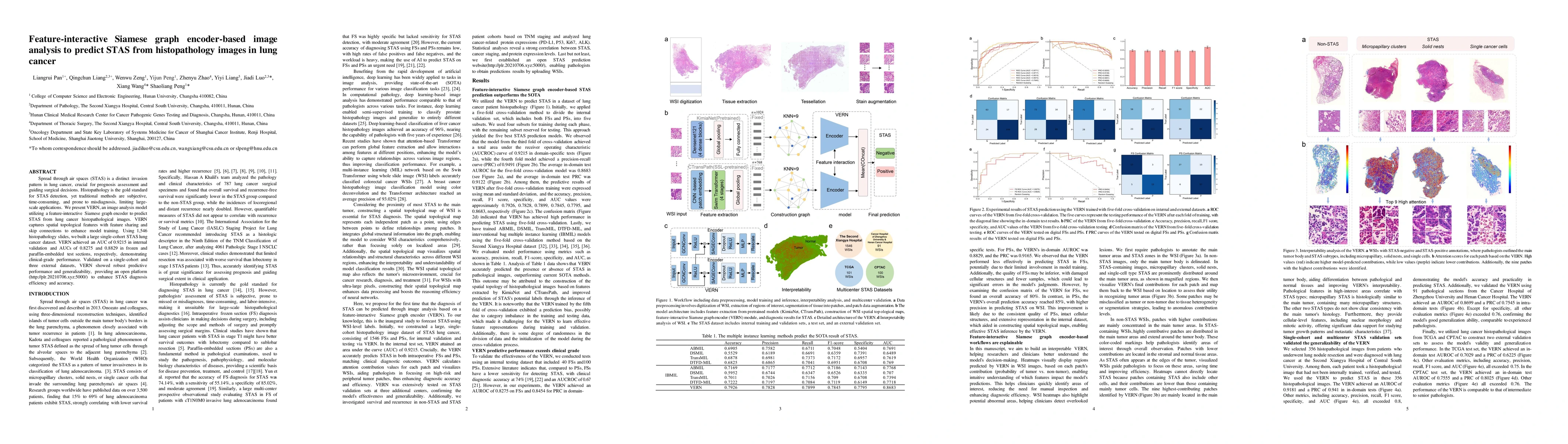 Thumbnail for Feature-interactive Siamese graph encoder-based image analysis to
  predict STAS from histopathology images in lung cancer