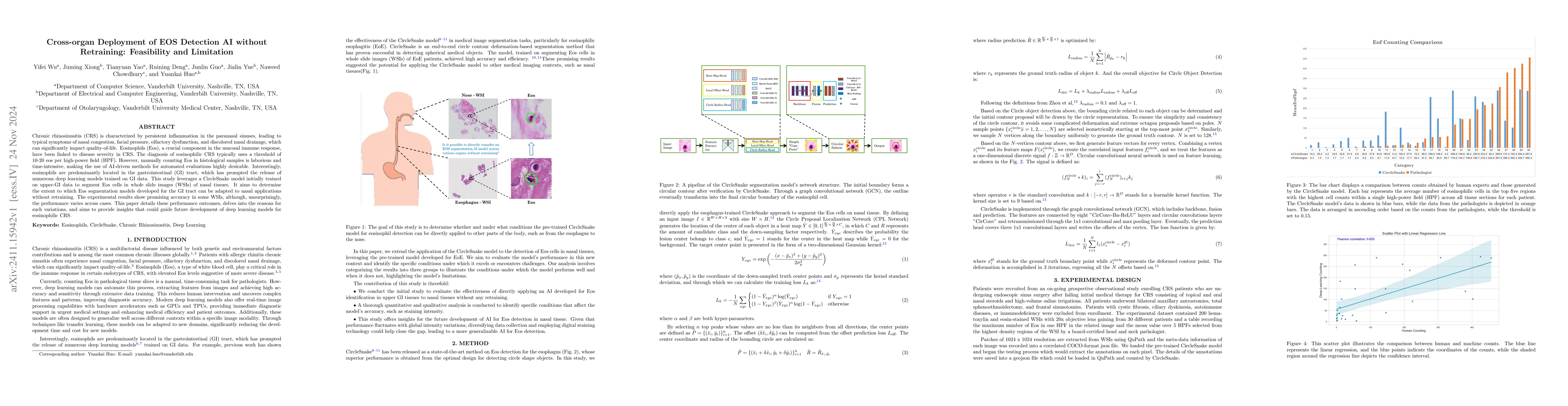 Thumbnail for Cross-organ Deployment of EOS Detection AI without Retraining:
  Feasibility and Limitation