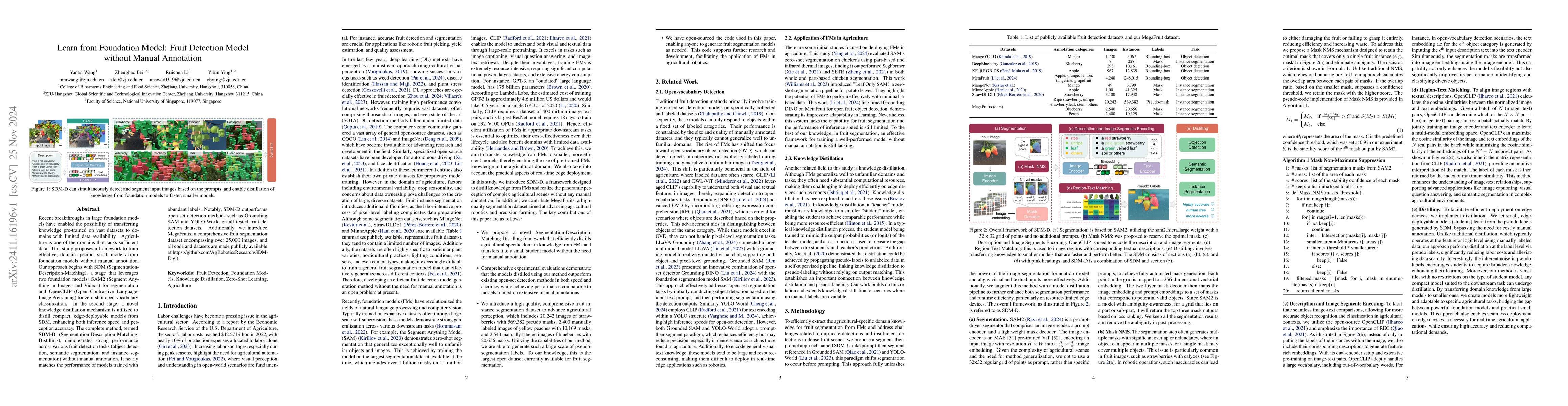 Thumbnail for Learn from Foundation Model: Fruit Detection Model without Manual
  Annotation