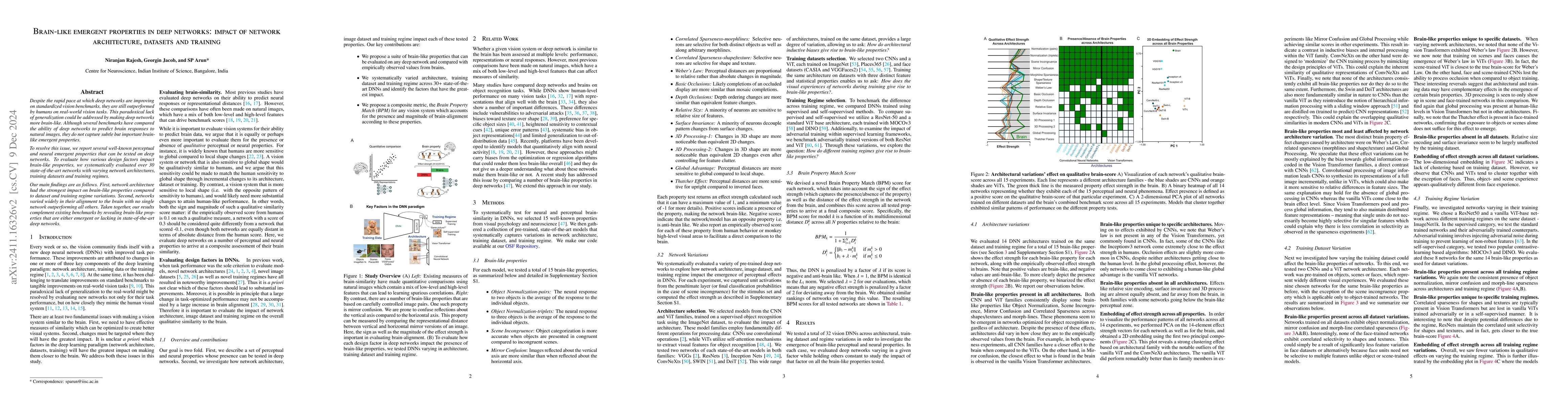 Thumbnail for Brain-like emergent properties in deep networks: impact of network
  architecture, datasets and training