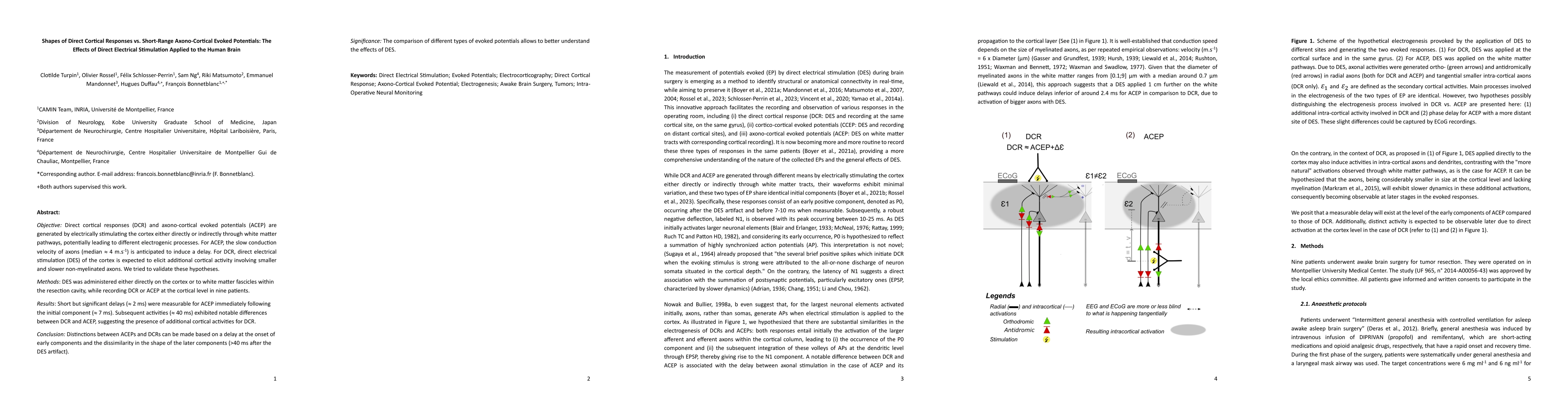 Thumbnail for Shapes of direct cortical responses vs. short-range axono-cortical
  evoked potentials: The effects of direct electrical stimulation applied to
  the human brain