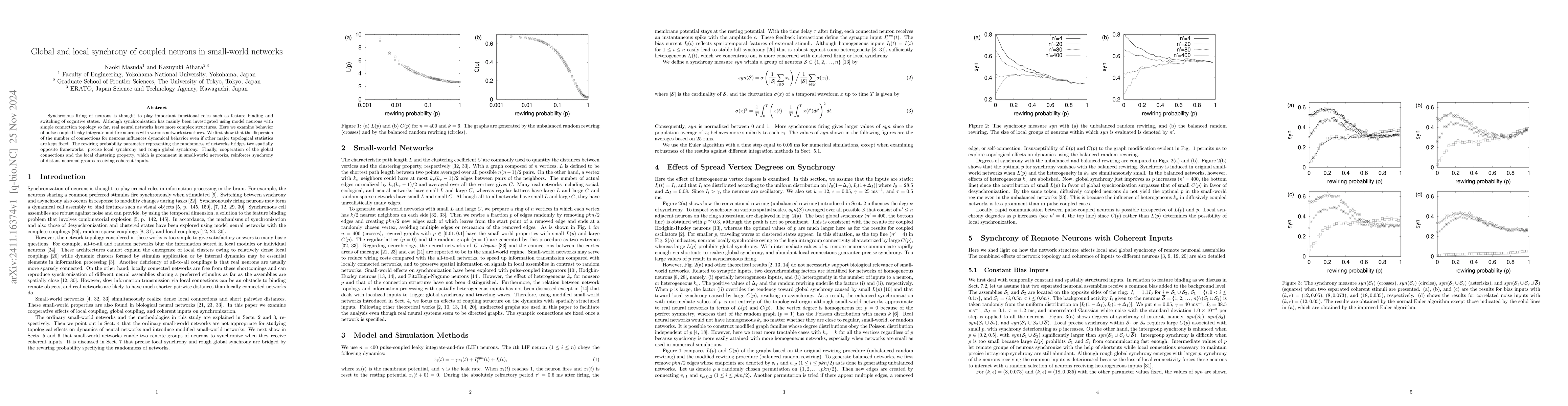 Thumbnail for Global and local synchrony of coupled neurons in small-world networks