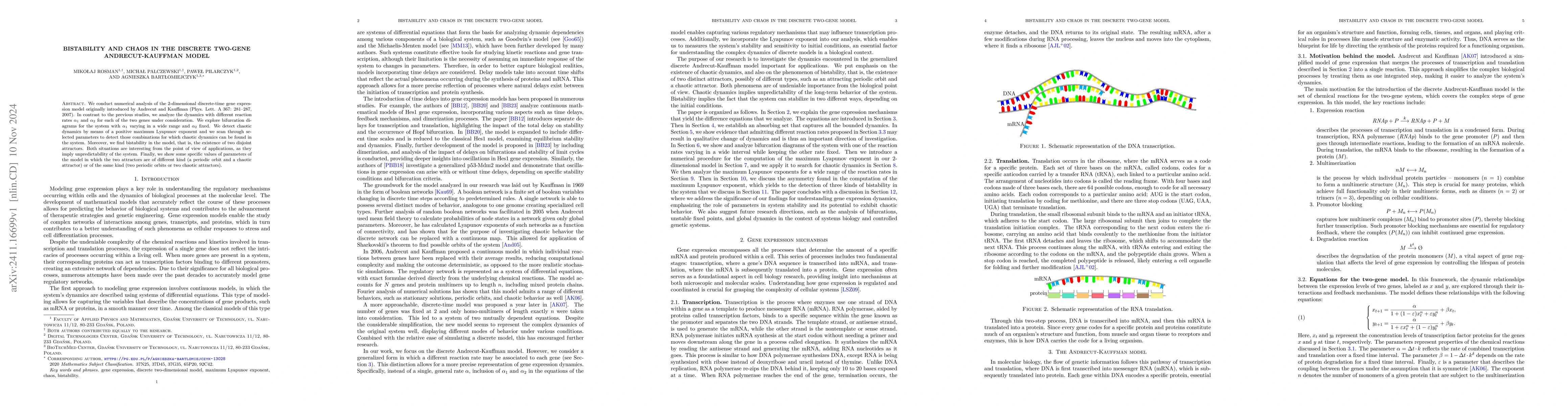 Thumbnail for Bistability and chaos in the discrete two-gene Andrecut-Kauffman model