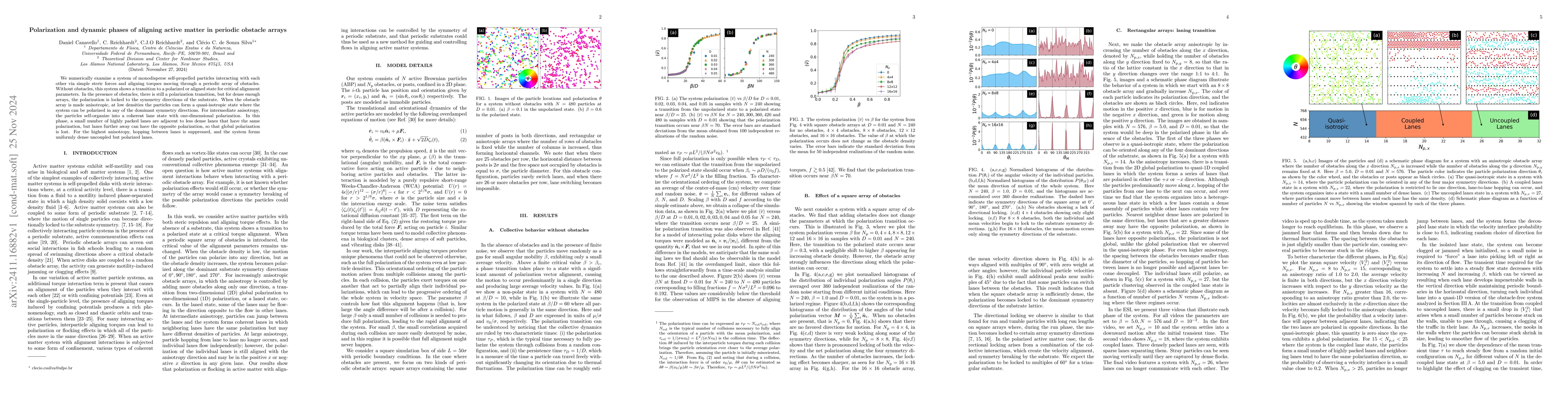 Thumbnail for Polarization and dynamic phases of aligning active matter in periodic
  obstacle arrays