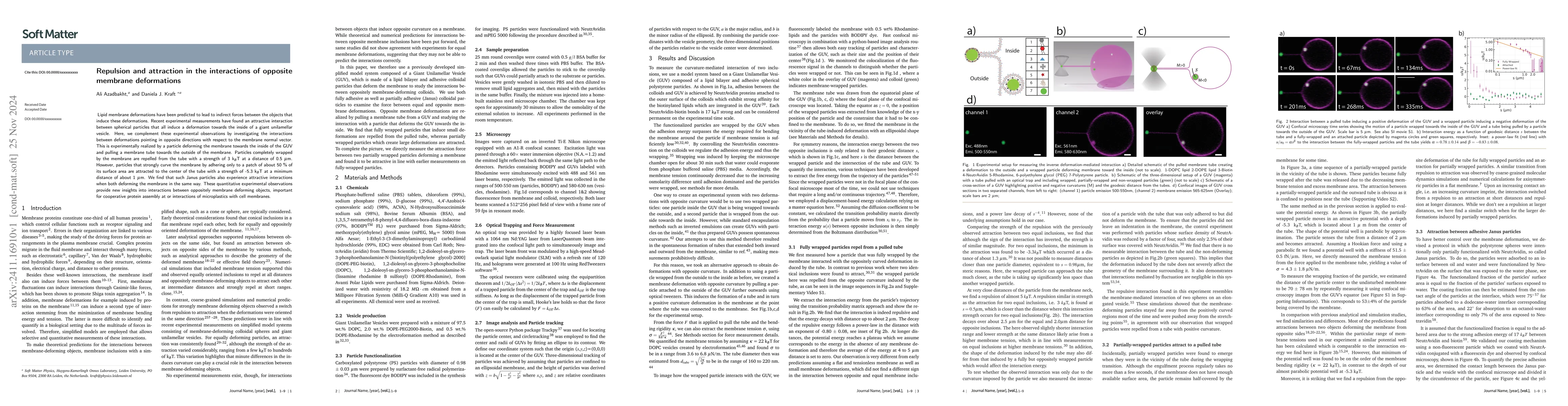 Thumbnail for Repulsion and attraction in the interactions of opposite membrane
  deformations